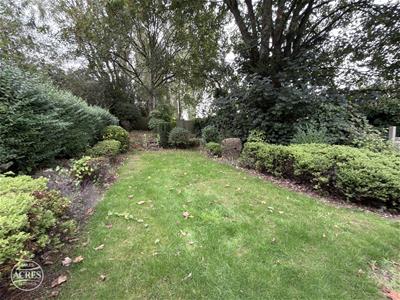 Picture 26